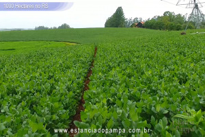 VB 4.00_03_25_14.Quadro048_2c2b353adb80461a8245b3569312e72e598d1a38.jpg